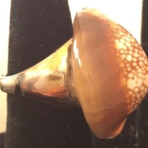 Fashion Ring Large Silver Color with Sea Shell